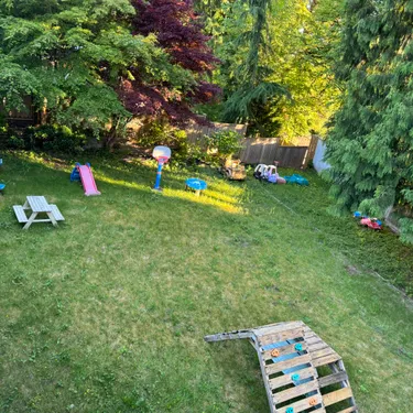 Gallery image 6