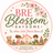 Bre blossom dayhome  logo
